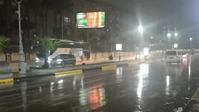 الربط بين الزلازل وعاصفة الإسكندرية “غير منطقى”