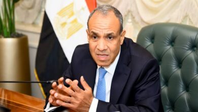 وزارة الخارجية والهجرة تتابع أوضاع الجالية المصرية في إيران