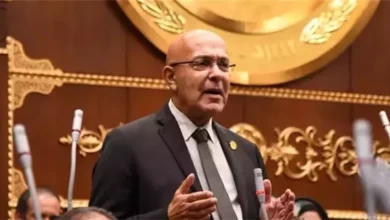 برلماني: زيارة رئيس مجلس الدولة الصيني لمصر نقطة انطلاق نحو شراكة استراتيجية