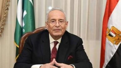 هل كانت مصر تحتاج إلى إنشاء حزب الجبهة الوطنية؟.. بهاء أبوشقة يجيب