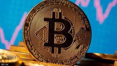 رغم المكاسب القياسية.. خبراء يحذرون من الاستثمار في البيتكوين داخل مصر