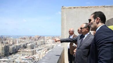 وزير قطاع الأعمال: نبحث تحويل مبنى قصر القطن إلى مركز استثماري بالإسكندرية