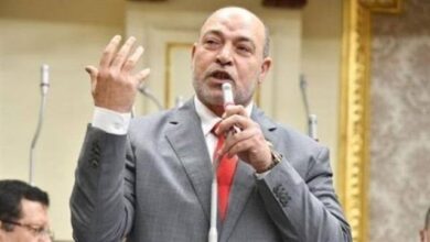 برلماني: دعم صناعة السكر خطوة حاسمة نحو الاكتفاء الذاتي