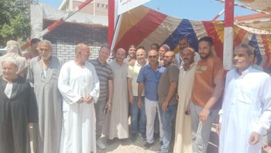 انتخابات الشيوخ.. محافظ البحيرة تؤكد انتظام فتح اللجان وتدعو المواطنين لمواصلة المشاركة الفاعلة