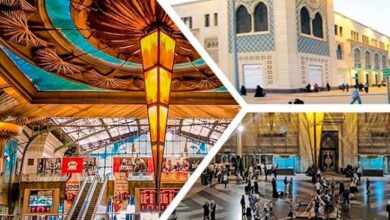 السكة الحديد تساهم في تأمين انتقال القضاة المشرفين على انتخابات مجلس الشيوخ