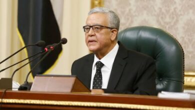 واجب وطني.. جبالي يحث المصريين على المشاركة في انتخابات “الشيوخ “