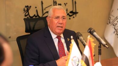 السيد القصير عن انتخابات الشيوخ: كل صوت خنجر في صدر الجماعات الإرهابية