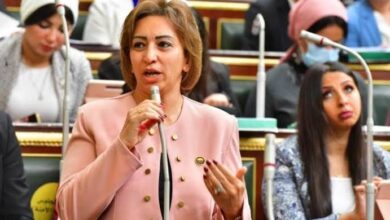 “قرار غير مسؤول” ..برلمانية تعلق على زيادة رسوم مستشفيات الصحة النفسية
