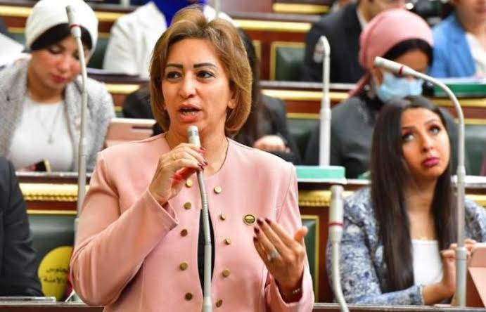 “قرار غير مسؤول” ..برلمانية تعلق على زيادة رسوم مستشفيات الصحة النفسية