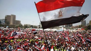 الغباري: ثورة 30 يونيو أنقذت مصر من فخ مشروع الشرق الأوسط الجديد
